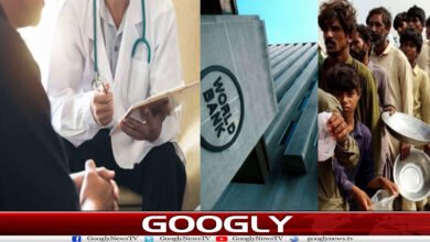 website Googly 198