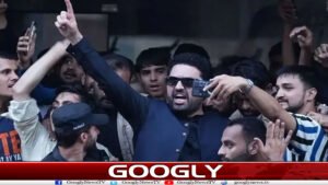 website Googly 229