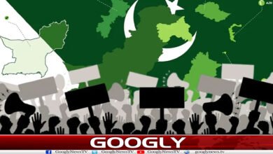 website Googly 233