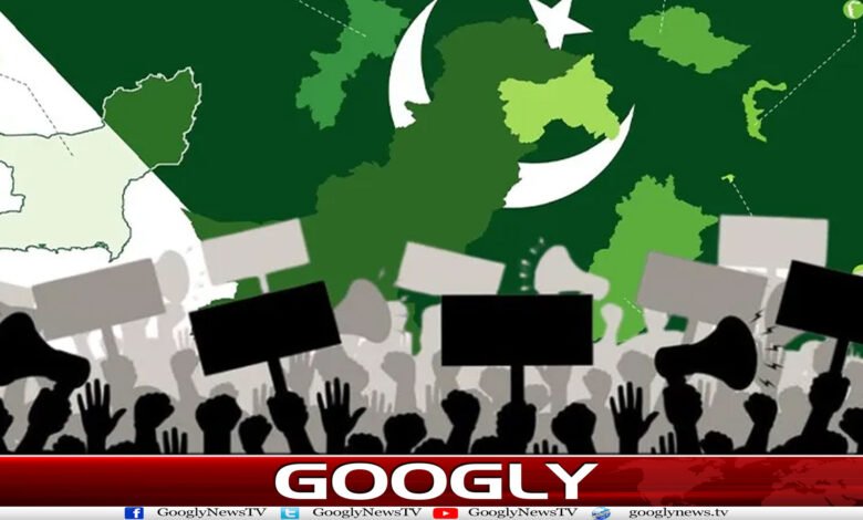website Googly 233