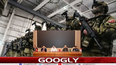 website Googly 239
