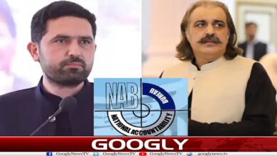 گنڈاپور اور سہیل آفریدی اچانک نیب کے ریڈار پر کیوں آ گئے؟ 5 website Googly 255