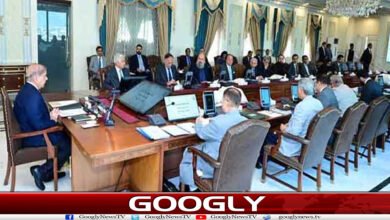 کفایت شعاری کے دعوے جھوٹے نکلے، وزیراعظم کی ٹیم 73 افراد تک جا پہنچی 5 website Googly 265