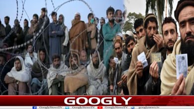 پی ٹی آئی حکومت کے خاتمے کے بعد افغان مہاجرین صدمے میں کیوں؟ 5 website Googly 270