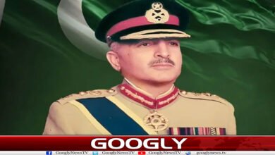 website Googly 277