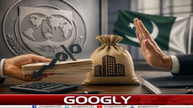 website Googly 41