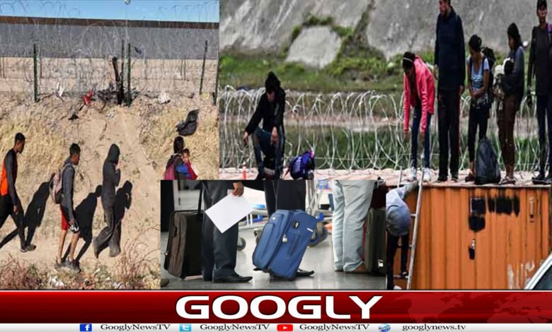 قانونی ویزے، جعلی نوکریاں؛ انسانی سمگلروں کا نیا طریقۂ واردات بے نقاب 1 website Googly 46