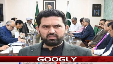 سہیل آفریدی نے حکومتPTIمذاکرات ناکام کیسے بنائے؟ 2 website Googly 48