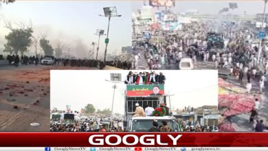website Googly 86