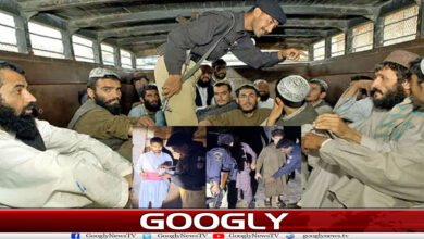 website Googly Recovered 14