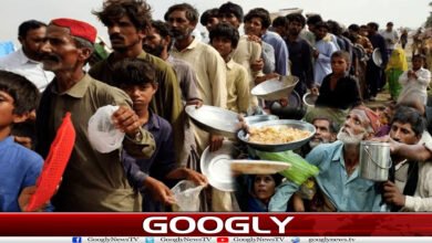 کیا واقعی خطے کے48فیصد غریب پاکستان میں بستے ہیں؟ 2 website Googly Recovered 20