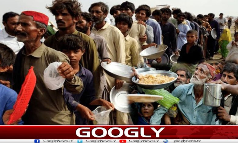 website Googly Recovered 20