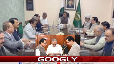 مذاکرات میں حکومت کی 2 بڑی شرائط، PTI کے مطالبات کیا ہیں؟ 2 website Googly Recovered 3