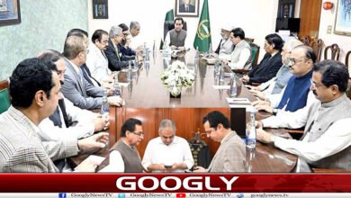 website Googly Recovered 4