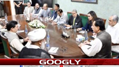 website Googly Recovered 7