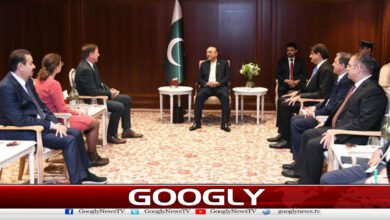 President Asif Ali Zardari’s visit to Germany: Important meetings with technology companies